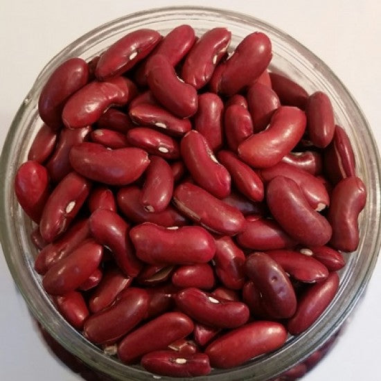 NEV0068 - Dark red kidney beans