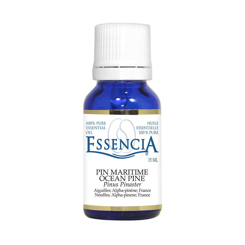 ESS0083 - Essential oil - Maritime pine