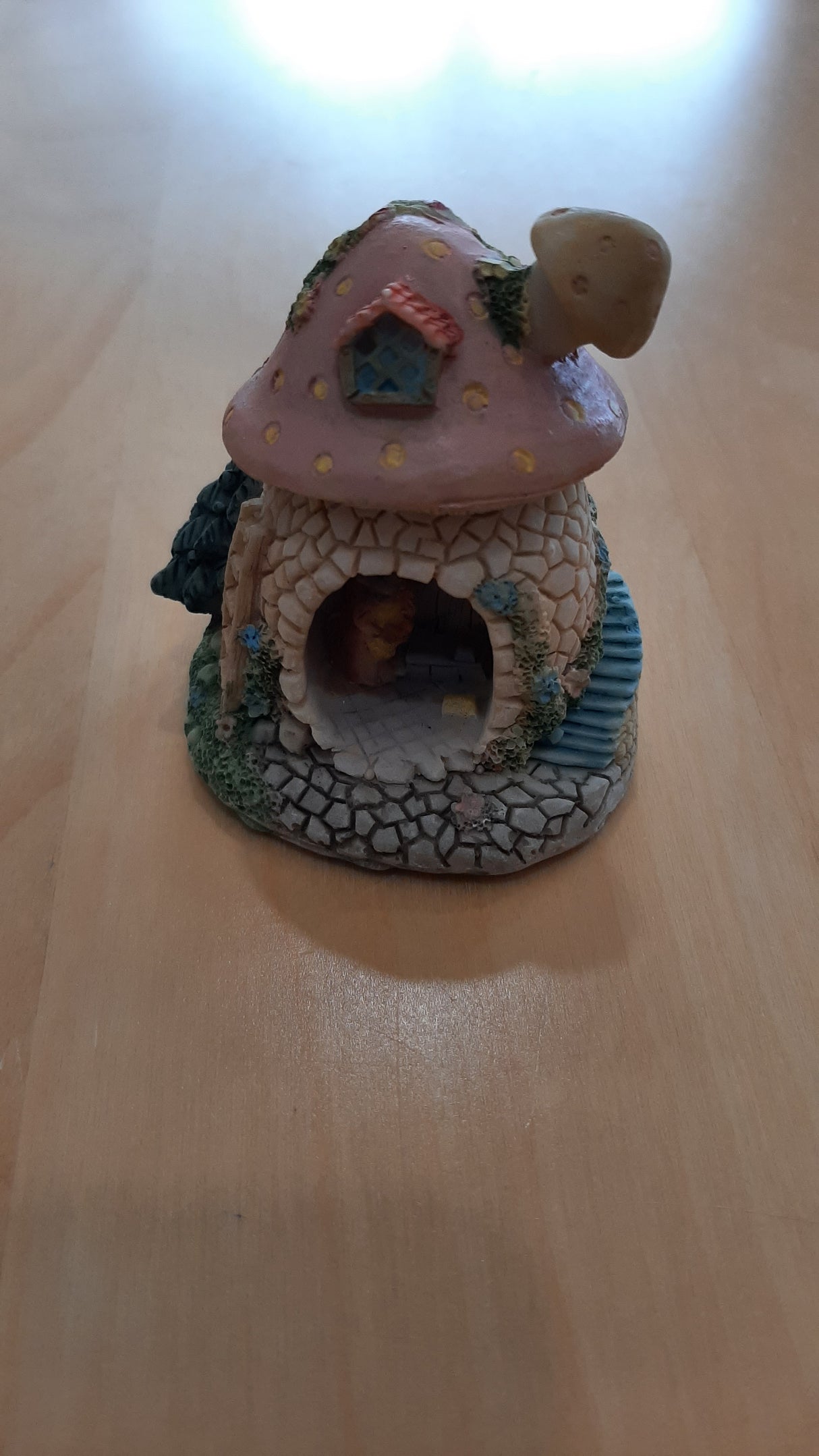 MUS0062 - Homemade mushroom