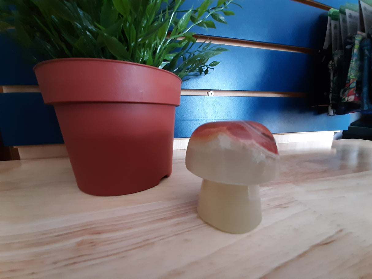 MUS0016 - Champignon en bois