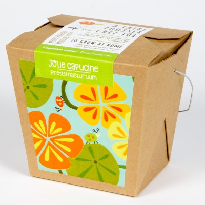 MAN00030 - Junior box garden - pretty nasturtium