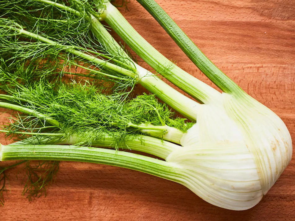 HER9431 - Fennel
