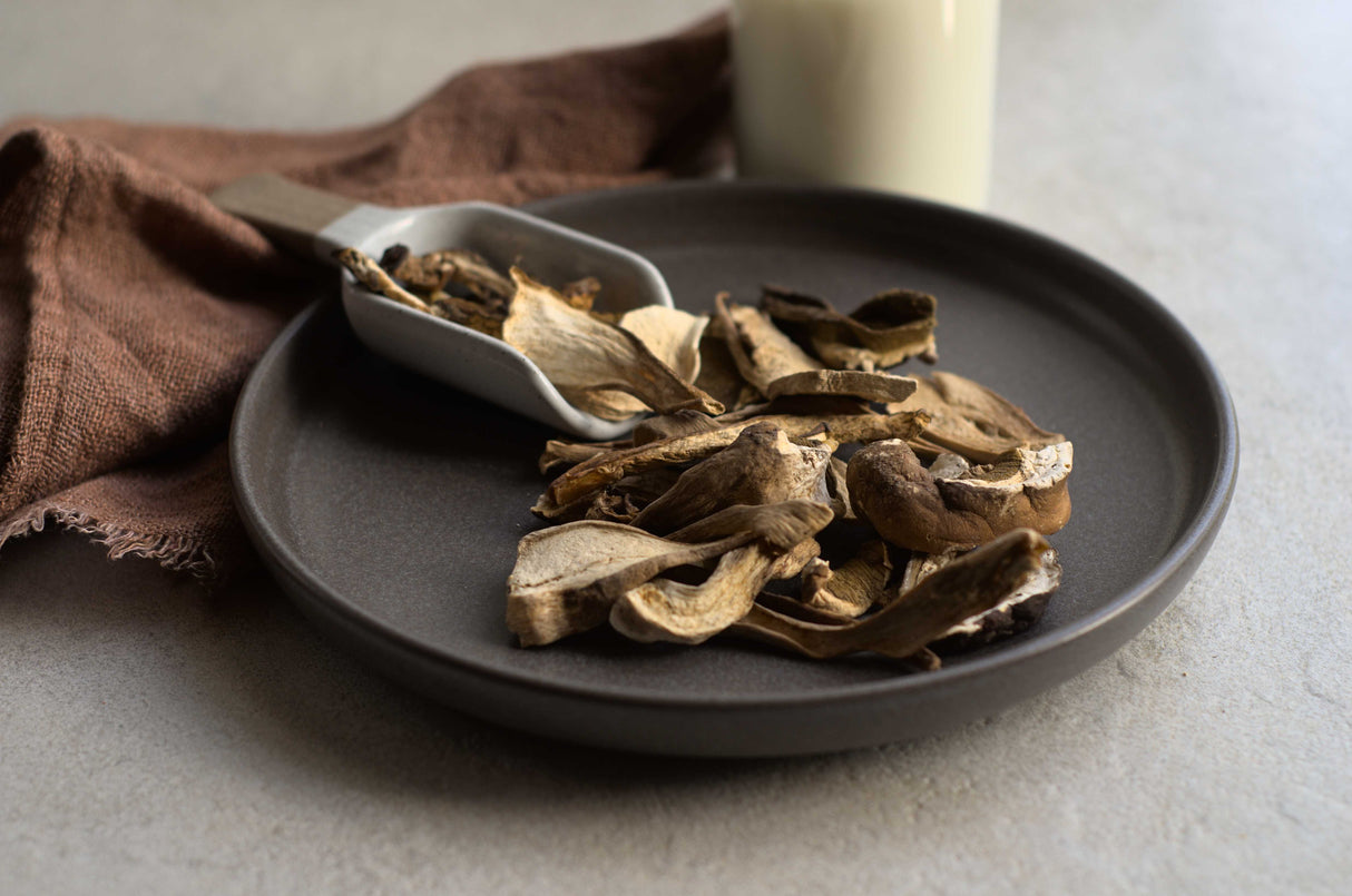 RAC0002 - Mushrooms - Dehydrated porcini mushrooms