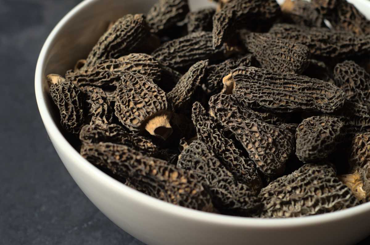RAC0004 - Mushrooms - Dehydrated morels