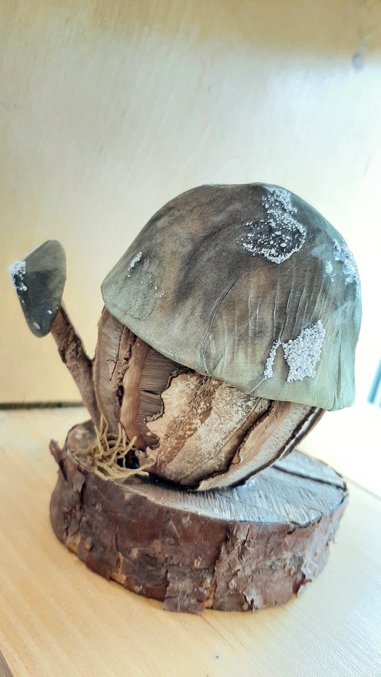 MUS0024 - Mushroom house with green roof