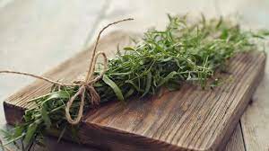 HER9367 - Tarragon