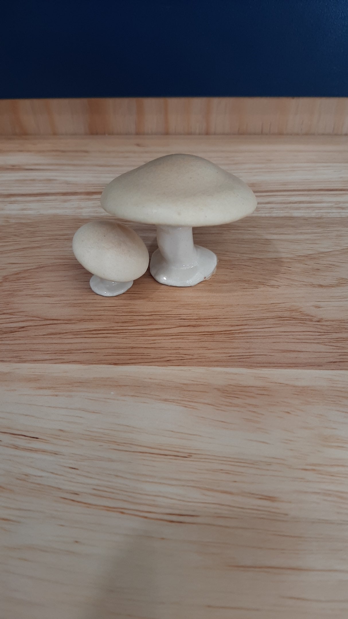 MUS0099 - Duo of small cream-colored mushrooms