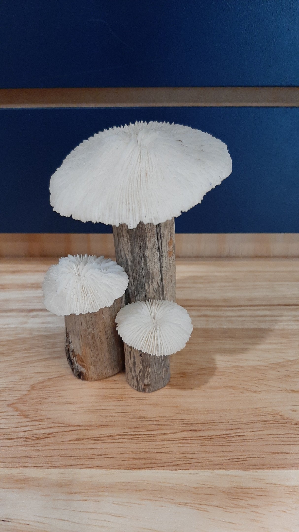 MUS0085 - Set of 3 mushrooms on wood