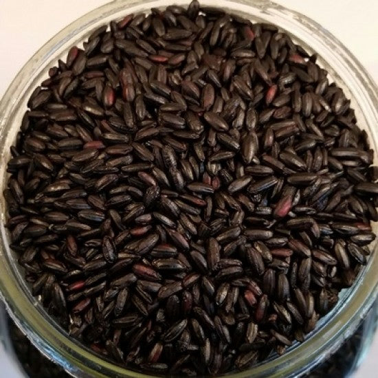 NEV0017 - Ancestral black rice