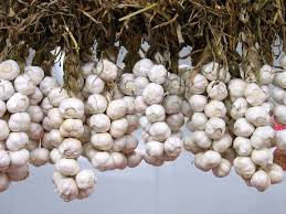 HER9376 - Granulated garlic
