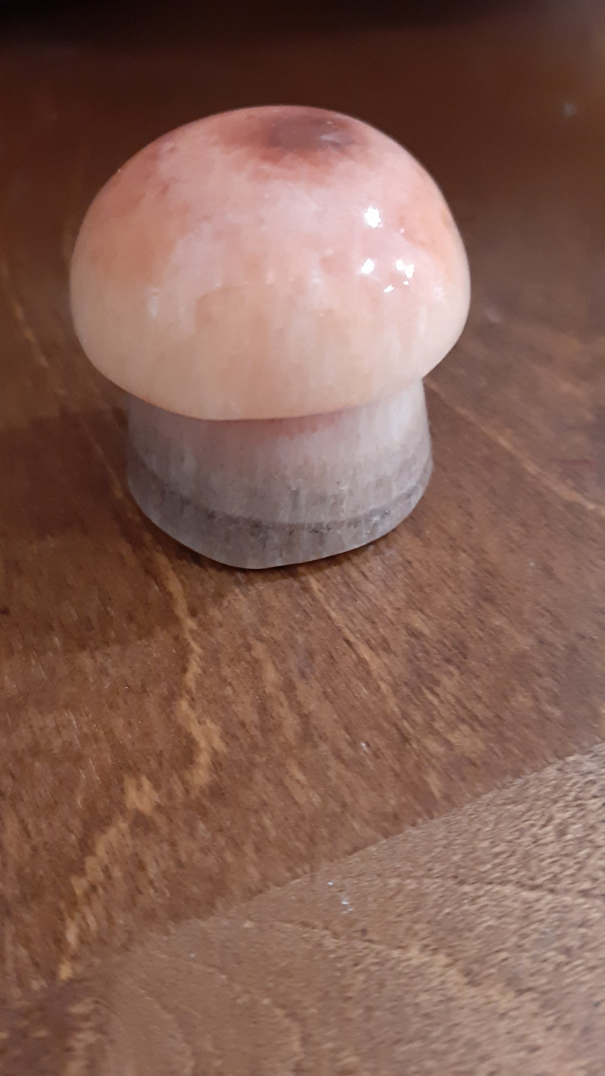 MUS0094 - Pink mushroom made in marble