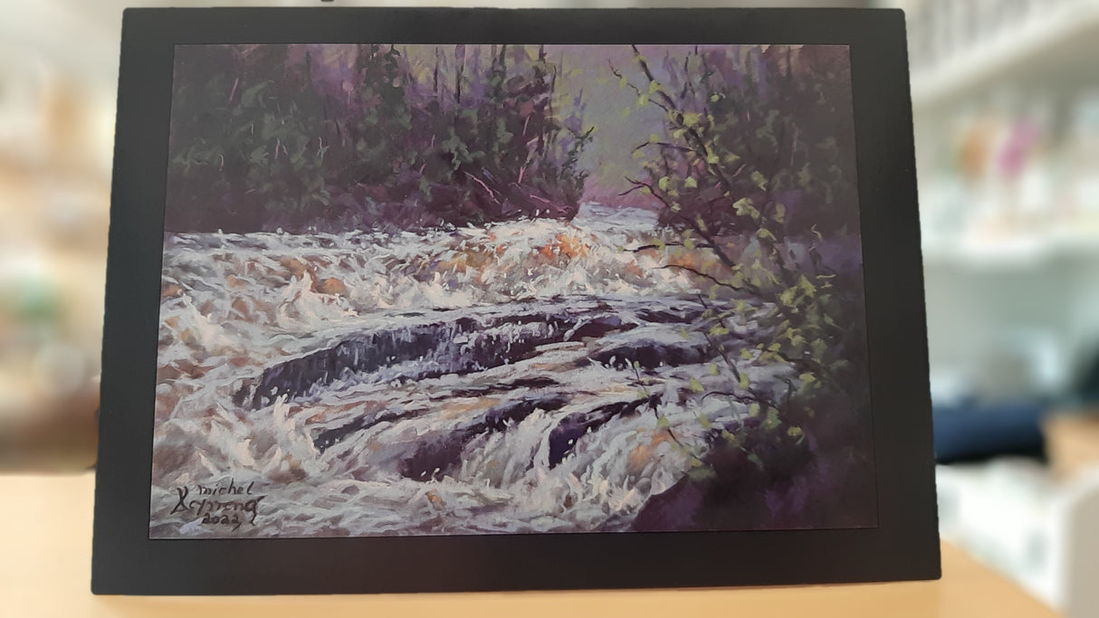 RAY0003 - Carte - Tout en fureur