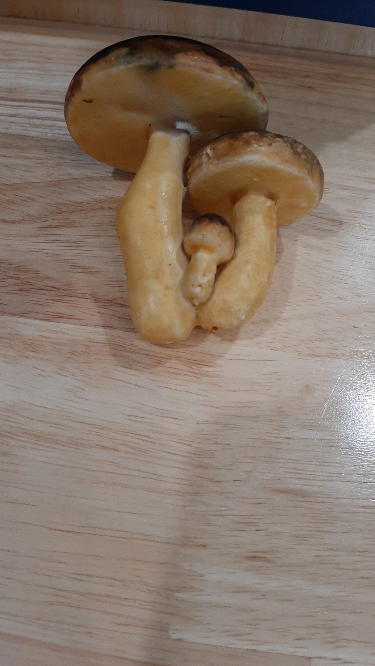 MUS0088 - Trio of light mushrooms