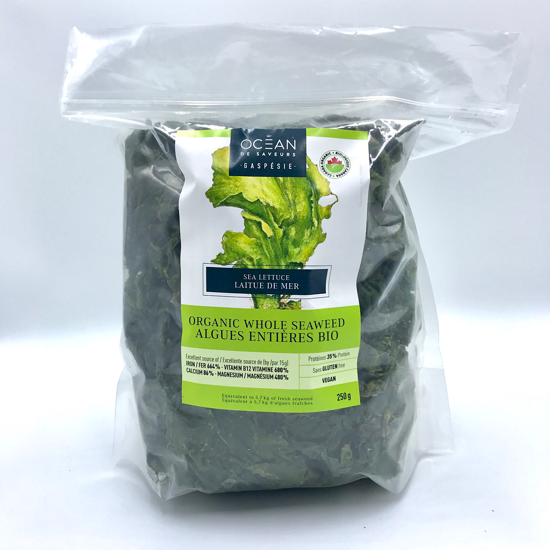 OCE0001 - Sea lettuce (whole)