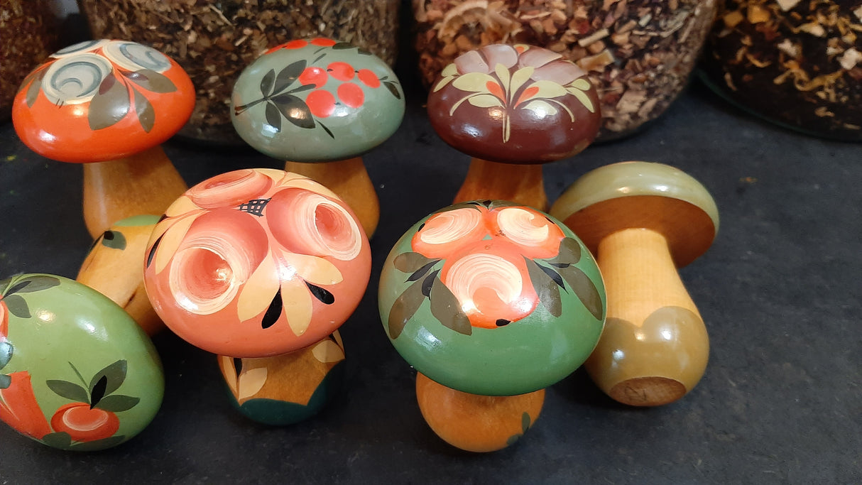MUS0037 - Wooden mushrooms - hand painted