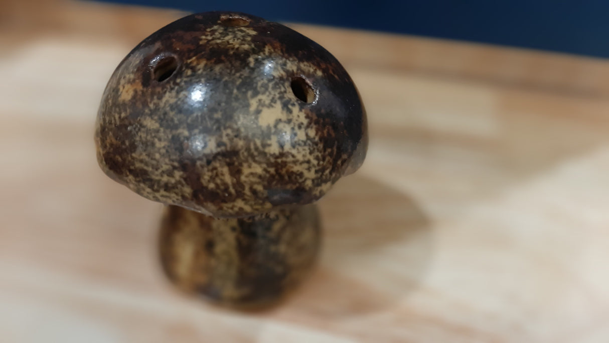 MUS0076 - Mushroom for incense