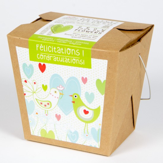 MAN00041 - Garden in Box Wishes - Congratulations