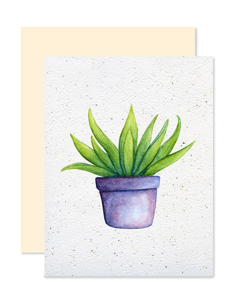 EMM0047 - Carte à planter / Plantable greeting card - Aloes