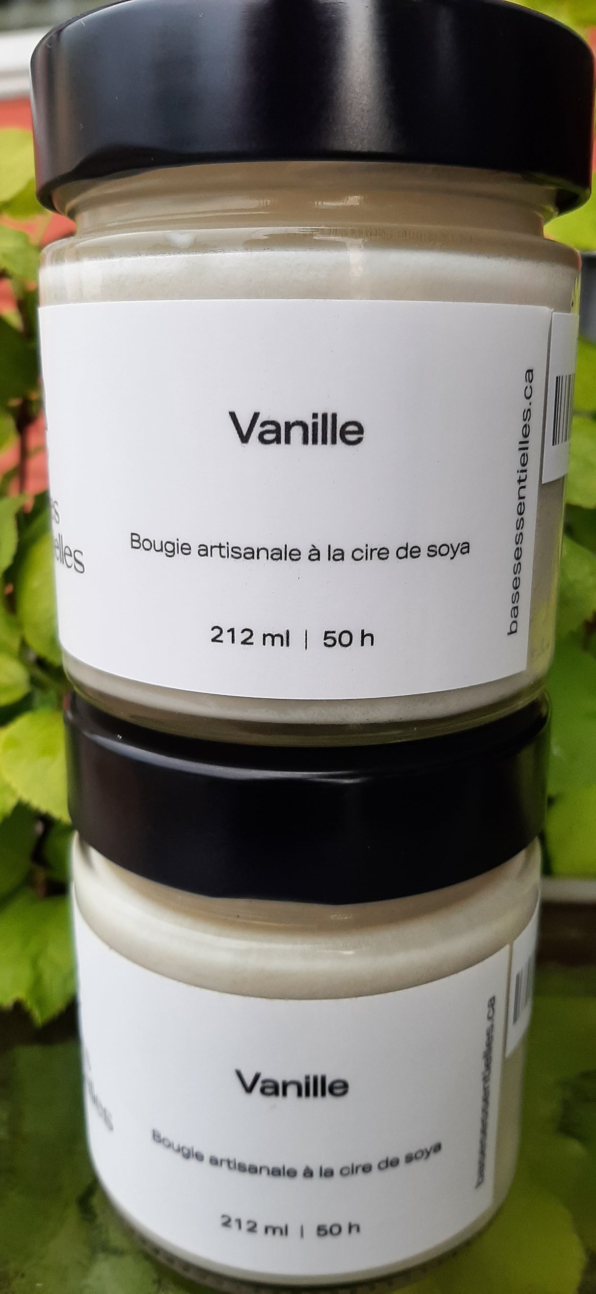 BLA0126 - Frangipani soap
