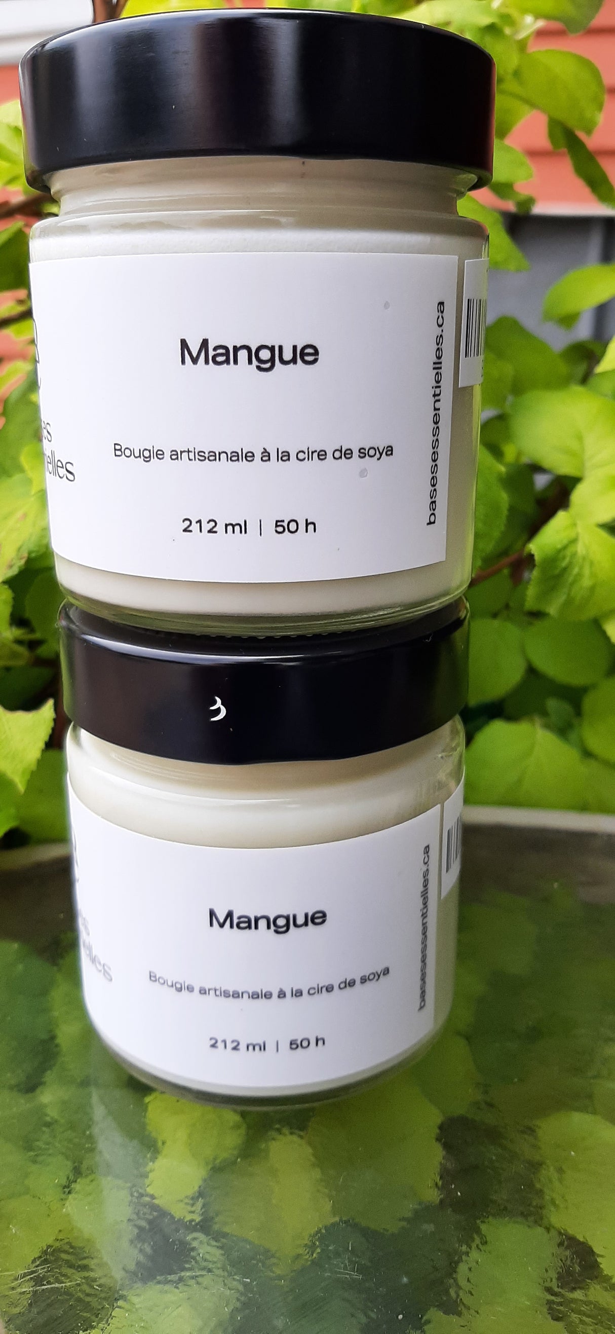 BLA0126 - Frangipani soap