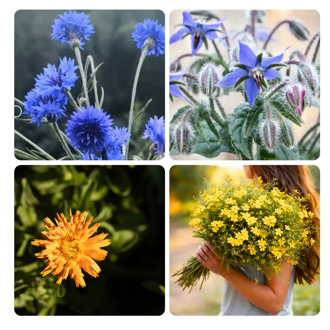 PAR0006 - Bouquet comestible - Enfants