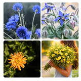 PAR0006 - Bouquet comestible - Enfants