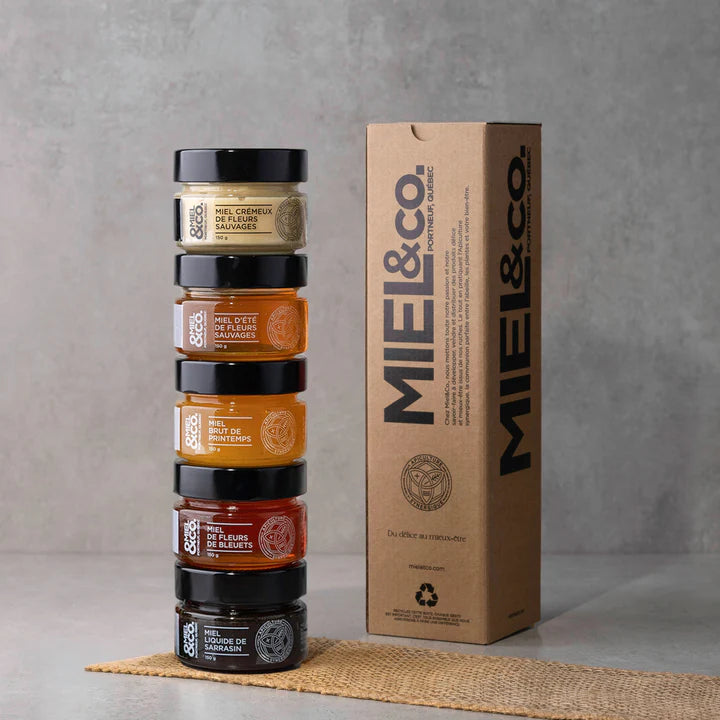 M&C5 - Ensemble Arc-en-ciel