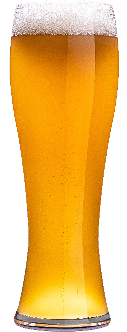 FAR5860 - Bière blanche de blé allemande - Farham