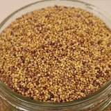 MED0020 - Trèfle rouge - $ / 100g