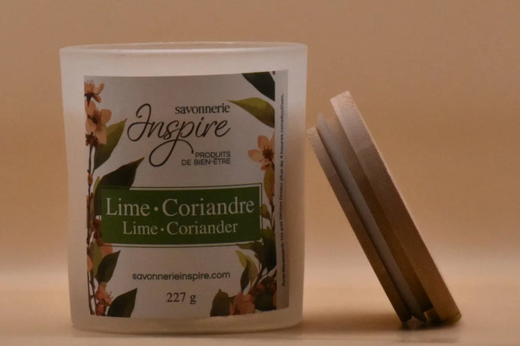 INS0008 - Chandelle - Lime & coriandre
