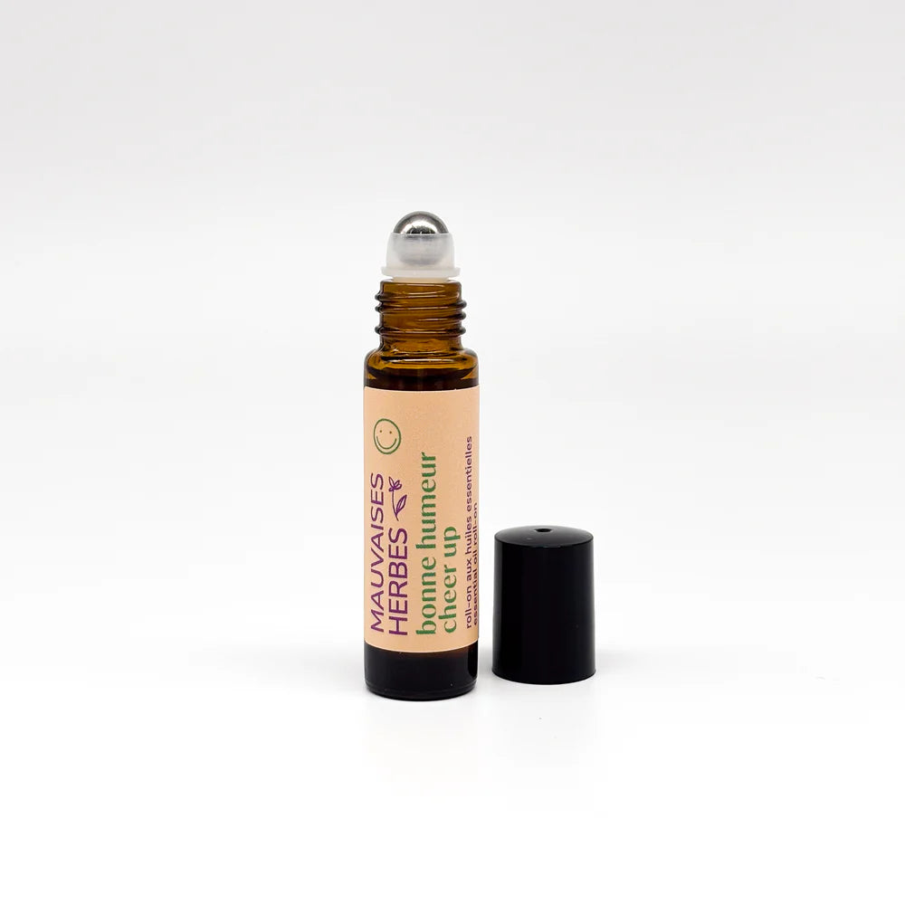 LMH0057 - Cornflower knapweed