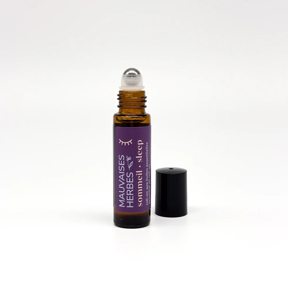 LMH0057 - Cornflower knapweed