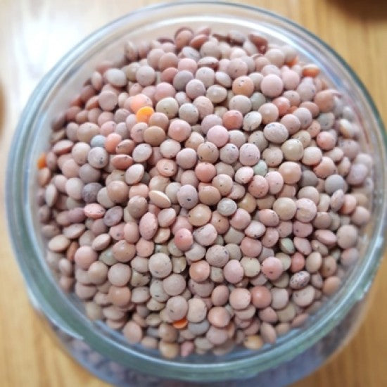 NEV0180 - Lentilles brunes - $ / 100g