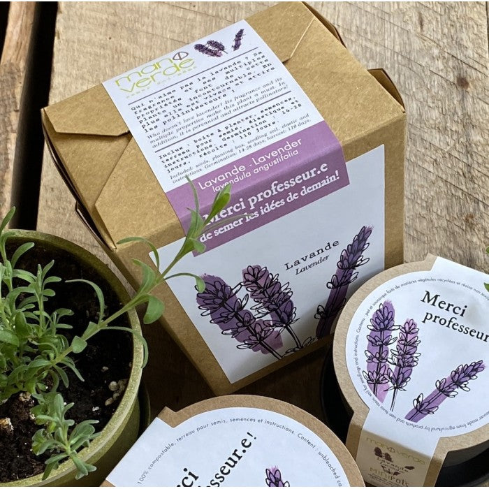 MAN00036 - Garden in box wishes - Happy Mother's Day! 