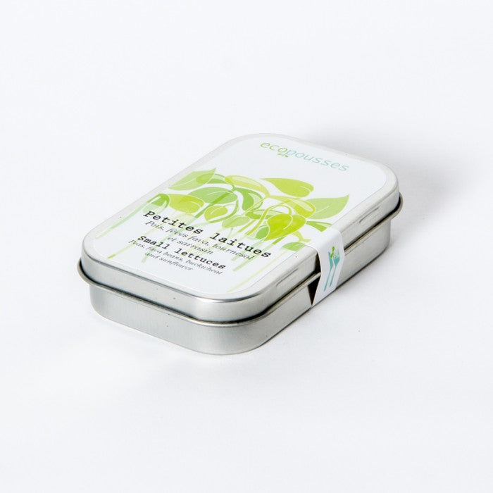 MAN00057 - Junior boxed garden - crunchy sunflower