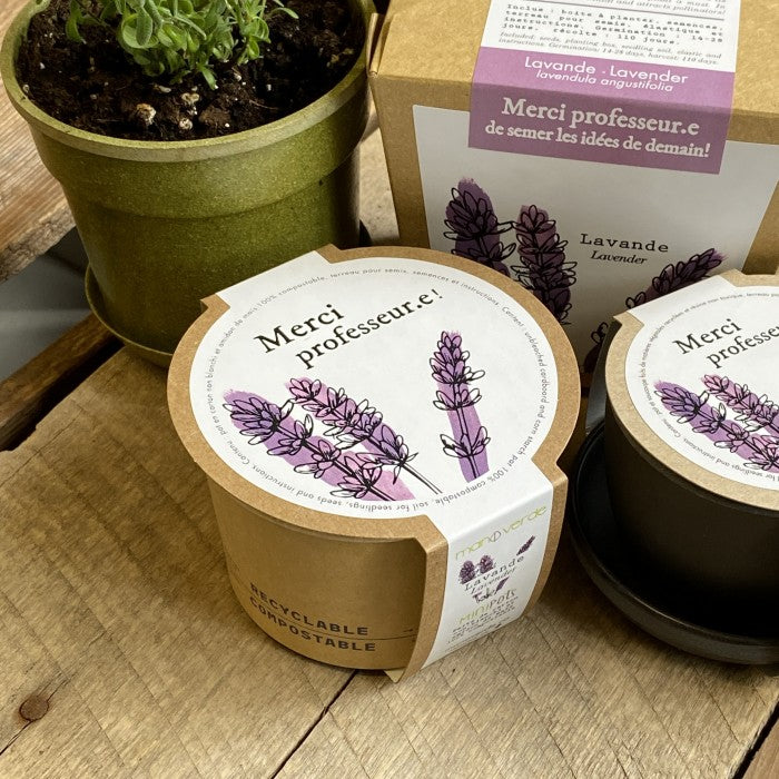 MAN10017 - Mini-pot compostable - Lavande