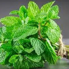 FRA-MEN-015 - Fragrance - Arctic mint