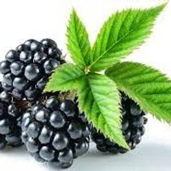 FRA-MUR-015 - Fragrance - Blackberry / blackberry