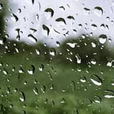 FRA-PLU-015 - Fragrance - Pluie d'été / Summer rain