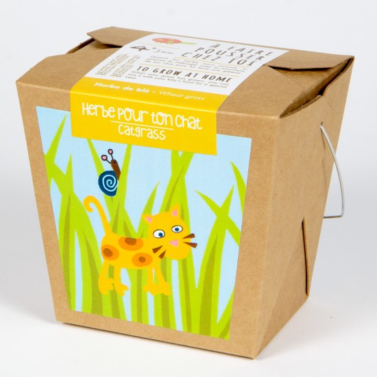 MAN00029 - Jardin en boîte junior - Herbe pour chat