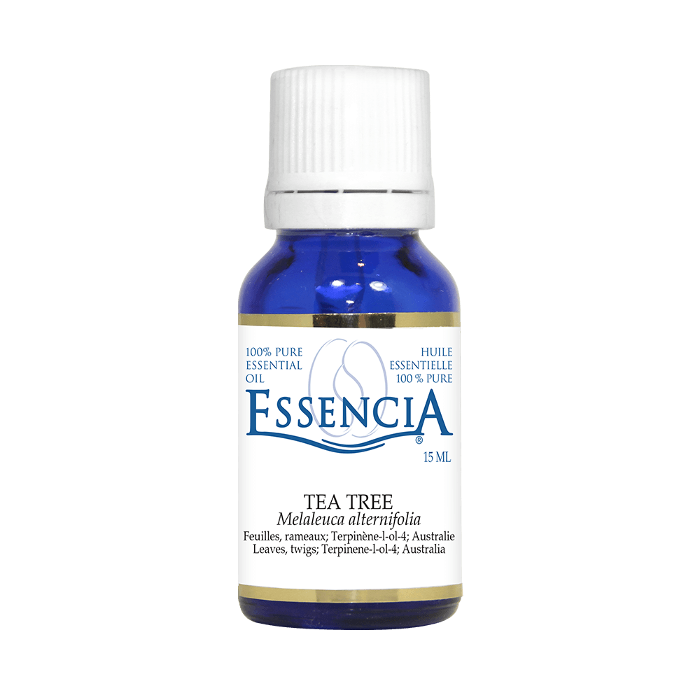 HOM1541 - Huile essentielle - Arbre à thé / Tea Tree Pure E.O.