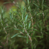 BLA0050 - Savon au romarin et menthe poivrée/ rosemary & peppermint