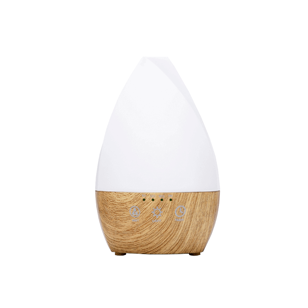 ESS6055 - Design Aromatherapy Diffuser / Design Aroma Diffuser | Essence 