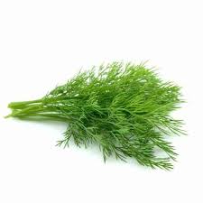HER9417 - Dill 