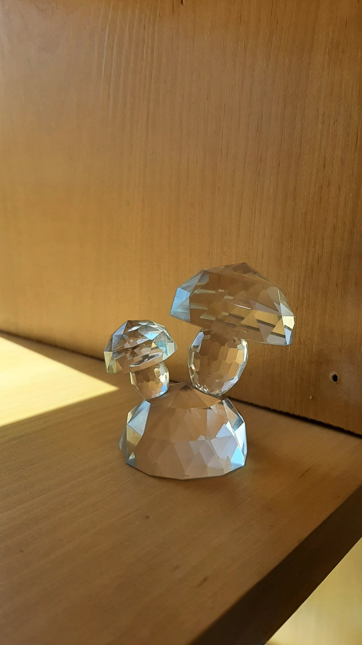 MUS0040 -  Duo de champignons en crystal