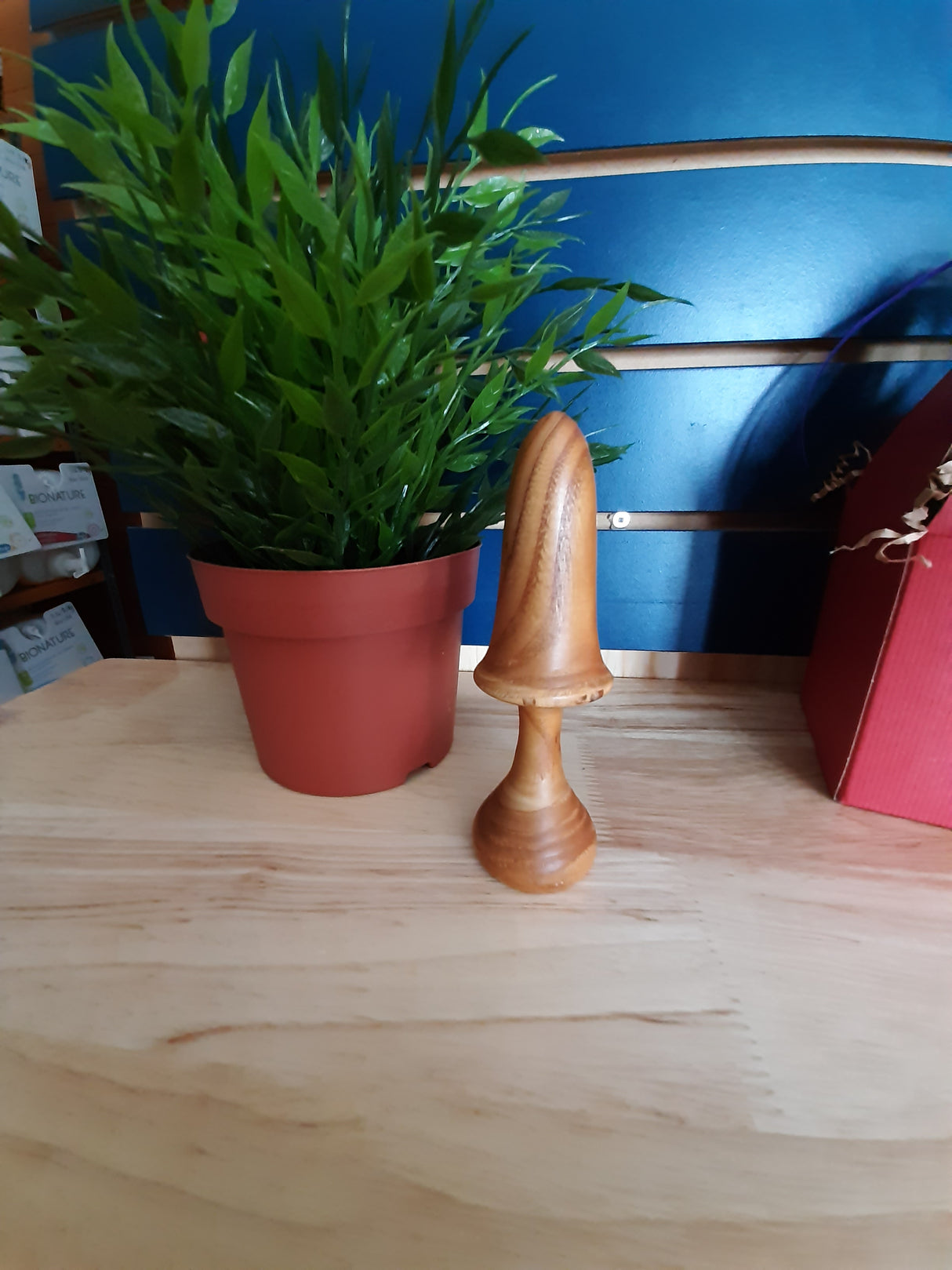 MUS0017 - Long champignon en bois