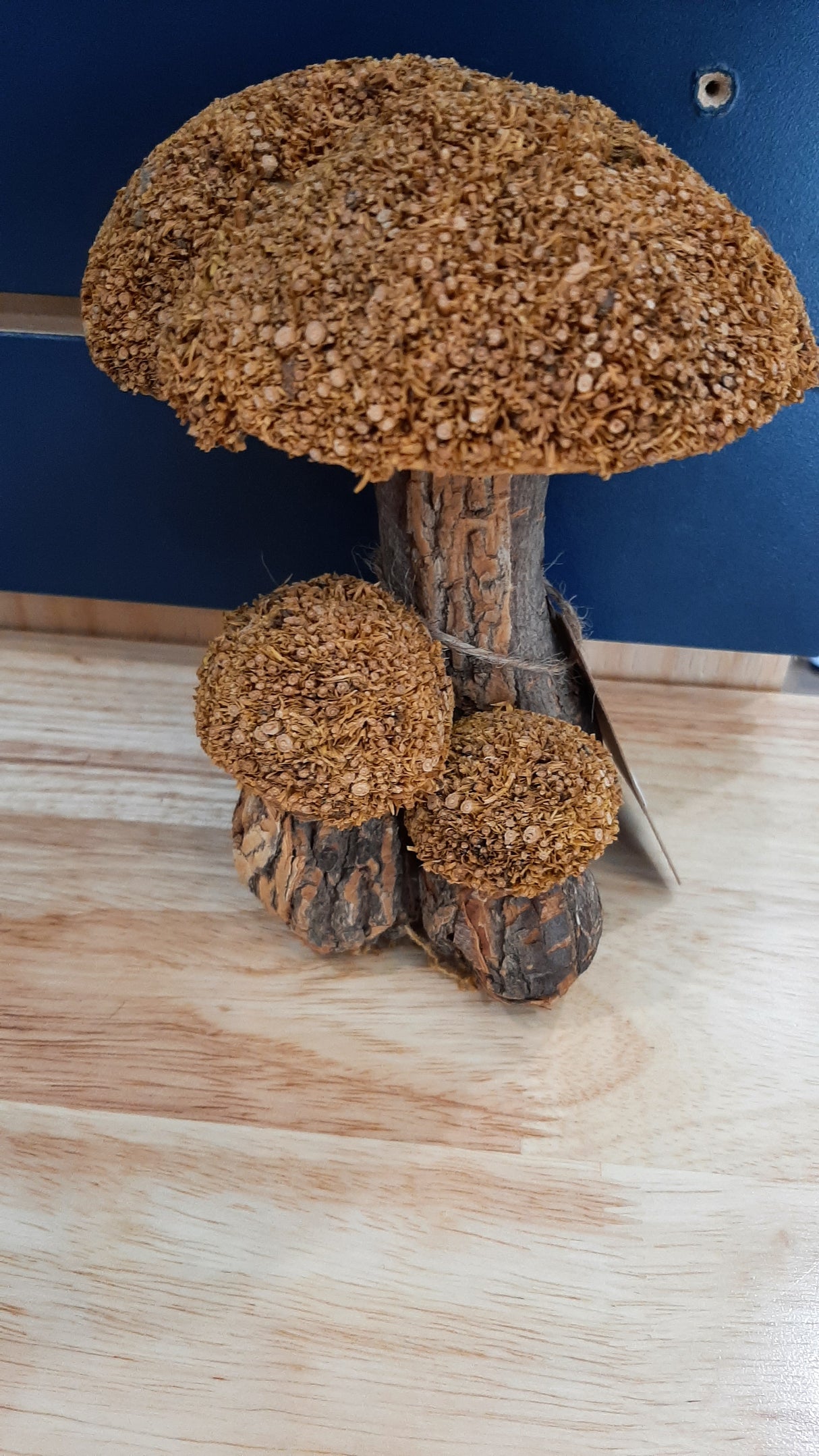 MUS0063 - Trio de champignons - couleur maïs