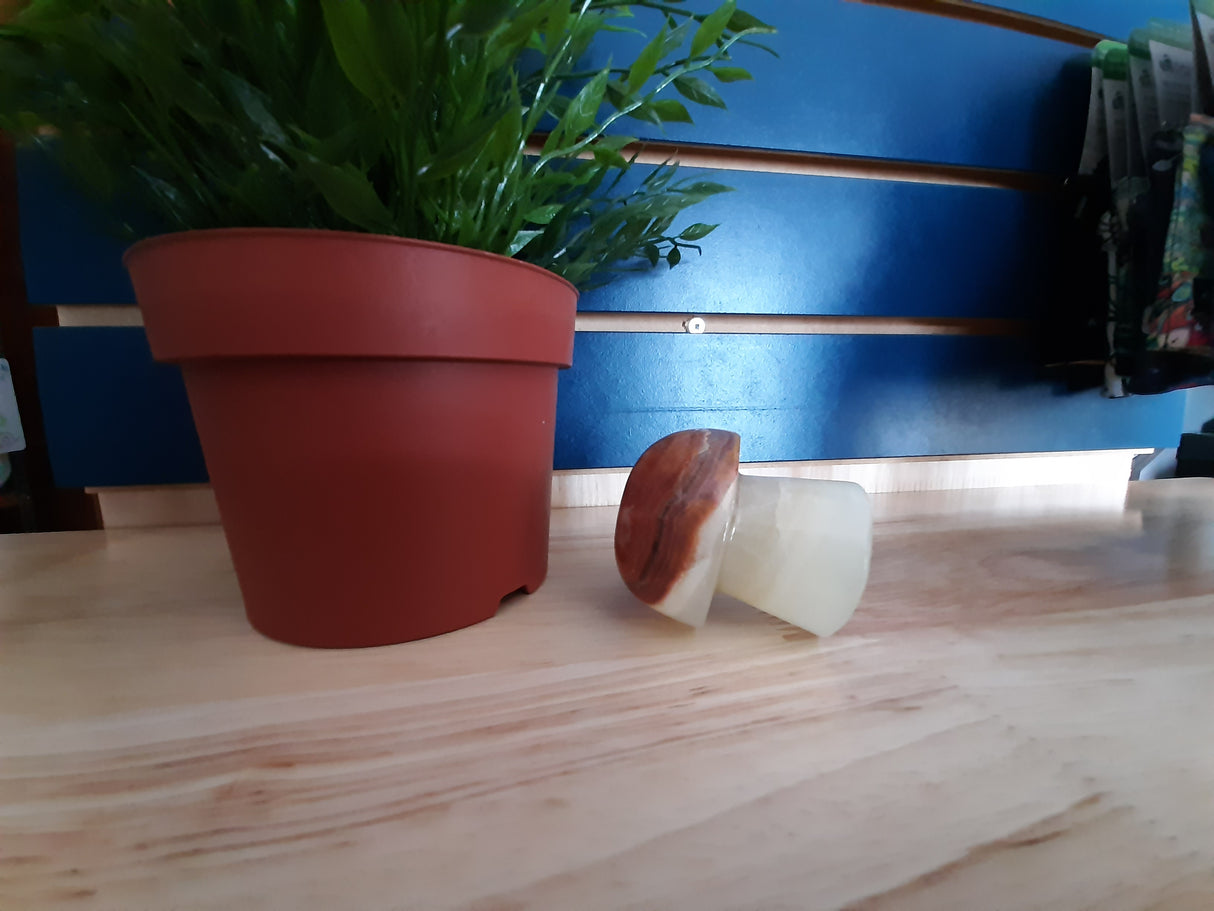 MUS0016 - Champignon en bois