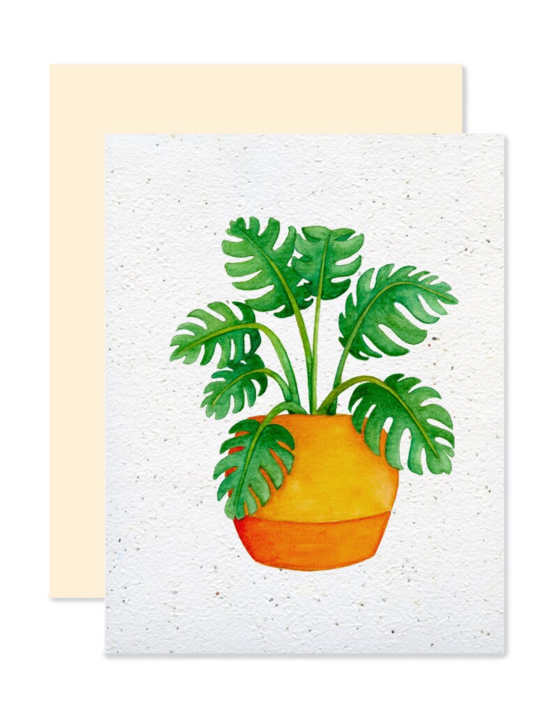 EMM0006 - Carte à planter / Plantable greeting card -  Monstera