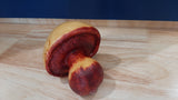 MUS0026 - Champignon léger, rouge et jaune